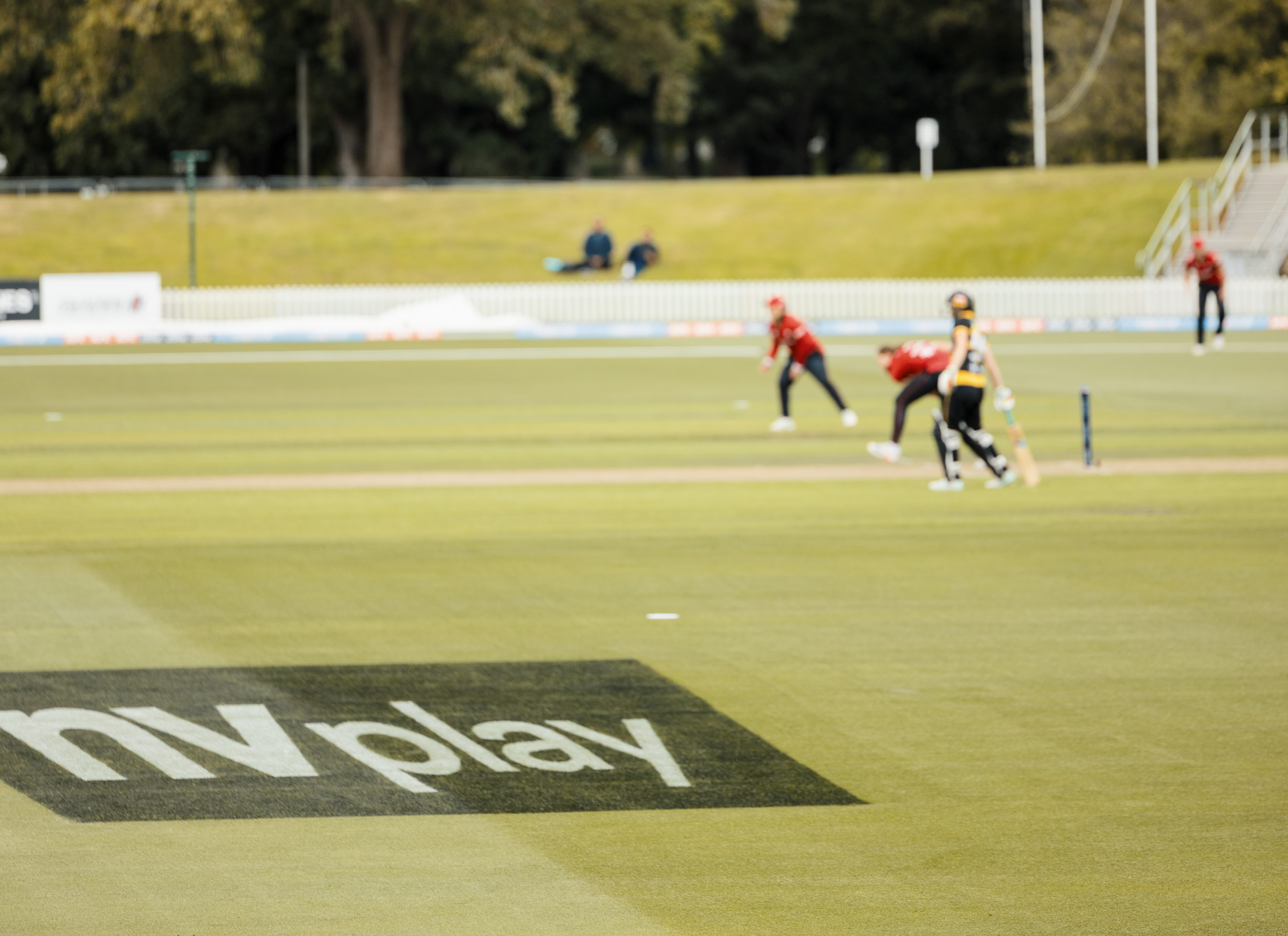 NV Play logo on the field at a Cricket Canterbury match at Hadley Oval in Christchurch