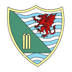 Ynystawe Cricket Club